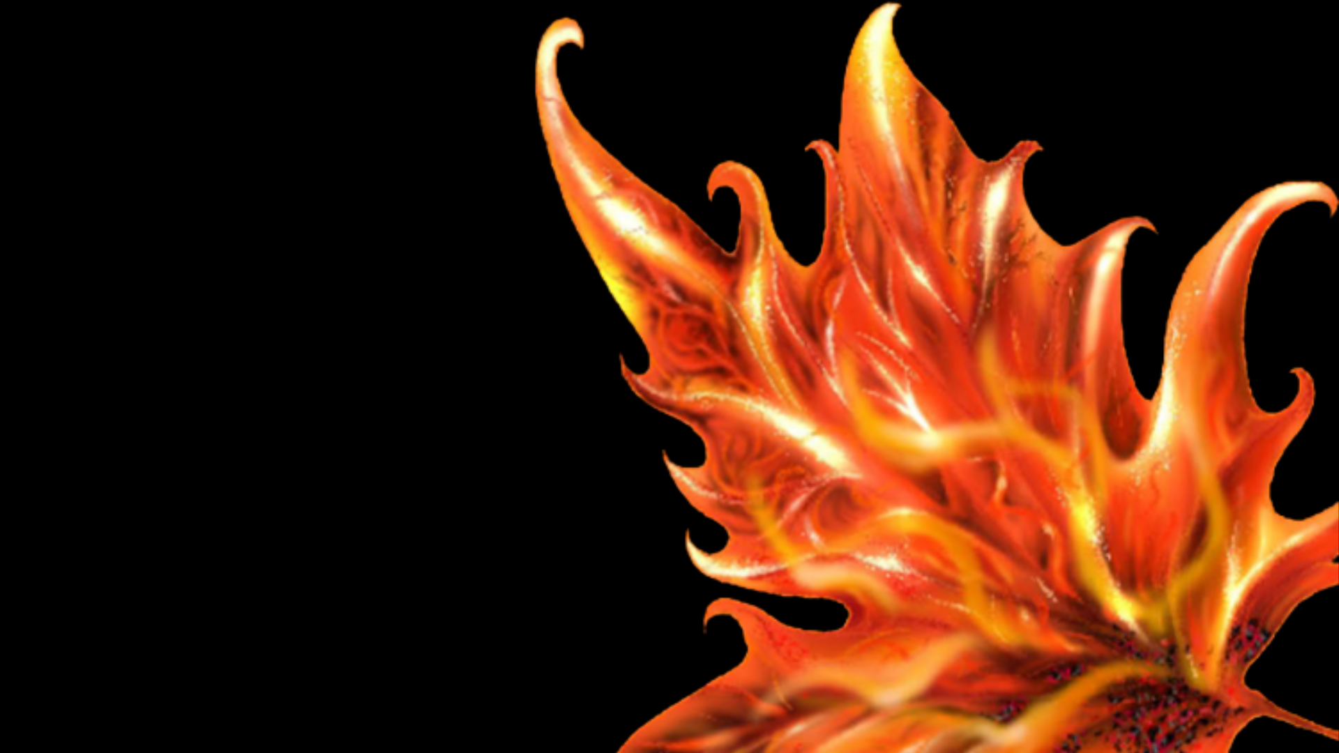 fuego-website.png