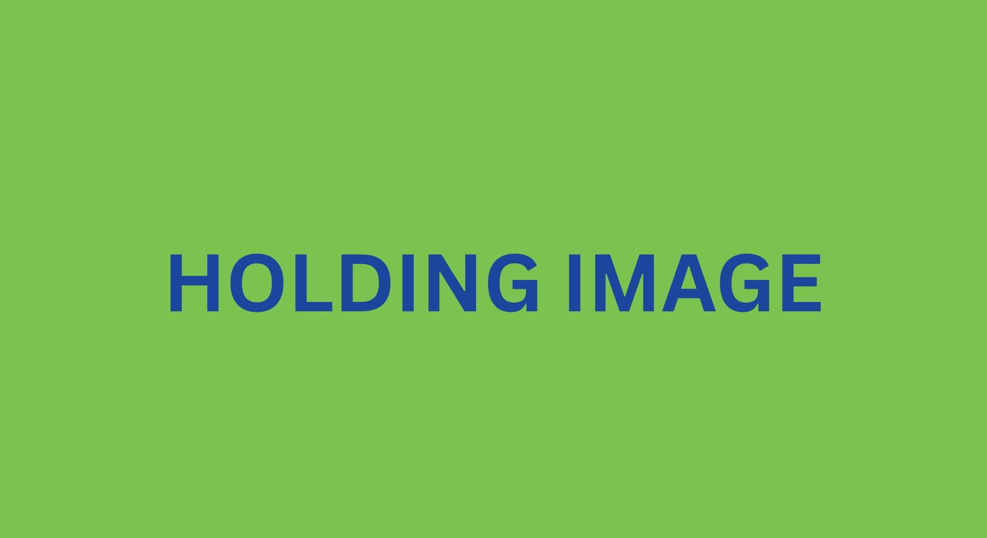 word-26-festival-holding-image.png